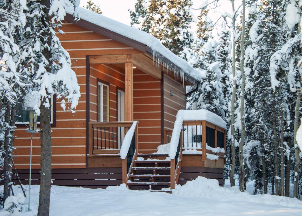 Denali Wild Stay - Moose Cabin, Free Wifi, 2 Private Bedrooms, Sleep 6 Healy Exterior foto