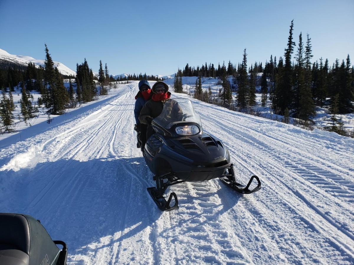 Denali Wild Stay - Moose Cabin, Free Wifi, 2 Private Bedrooms, Sleep 6 Healy Exterior foto