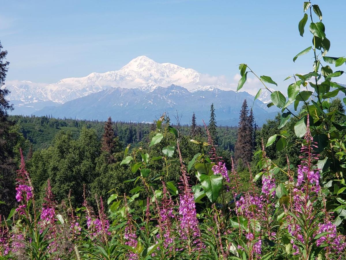 Denali Wild Stay - Moose Cabin, Free Wifi, 2 Private Bedrooms, Sleep 6 Healy Exterior foto