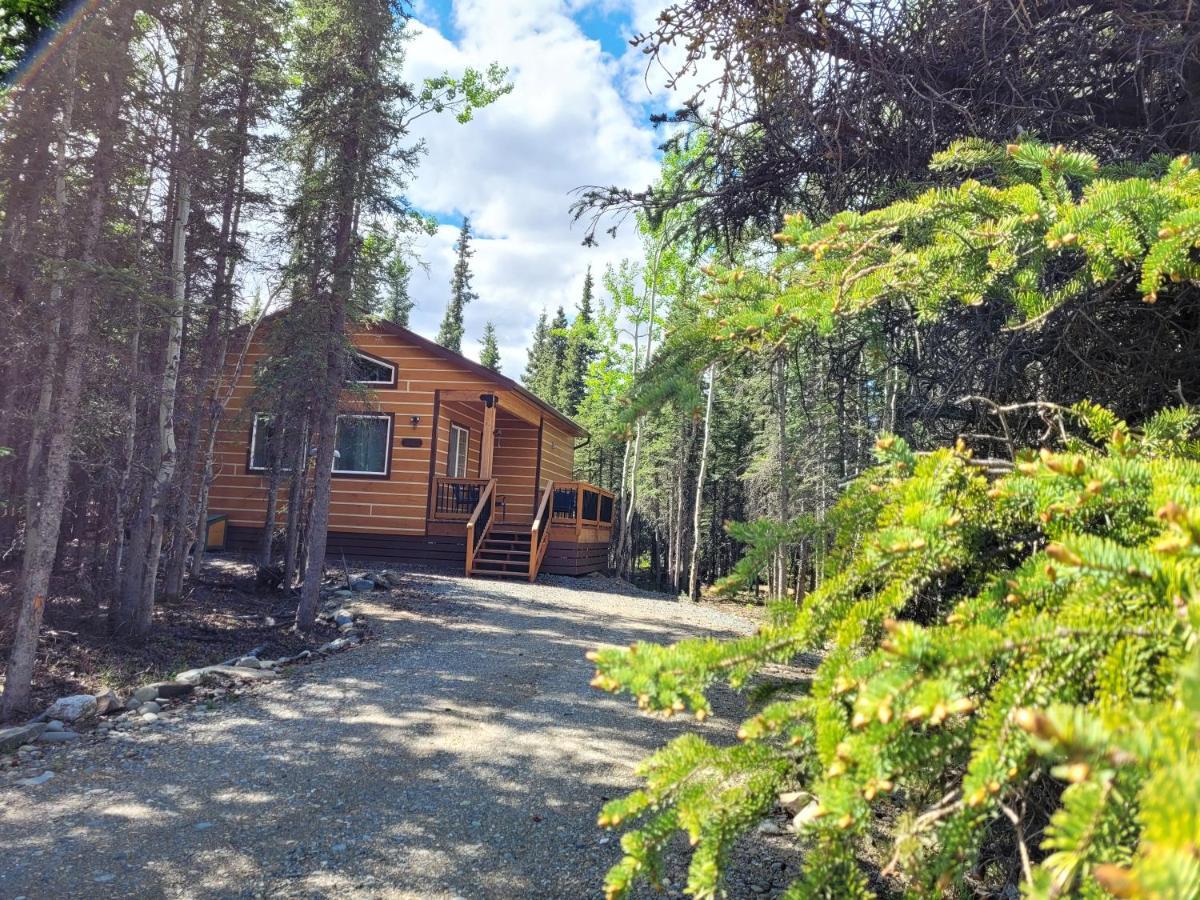 Denali Wild Stay - Moose Cabin, Free Wifi, 2 Private Bedrooms, Sleep 6 Healy Exterior foto